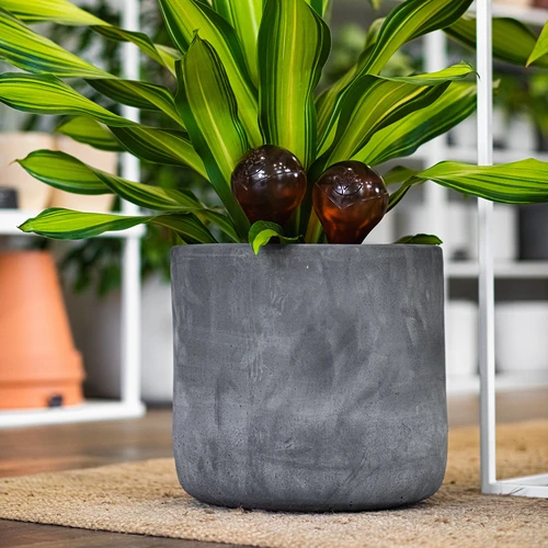 Taimede kastmispallid, läbipaistvad merevaigukarva, 400 ml, 2 tk. - 13