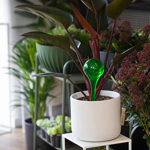 Taimede kastmispallid, rohelised läbipaistvad, 400 ml, 2 tk. - 10