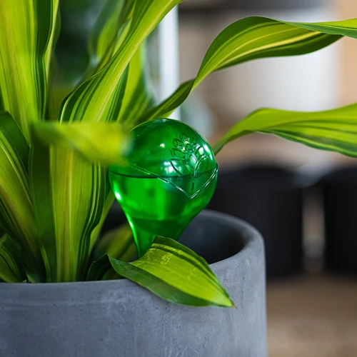 Taimede kastmispallid, rohelised läbipaistvad, 400 ml, 2 tk. - 11