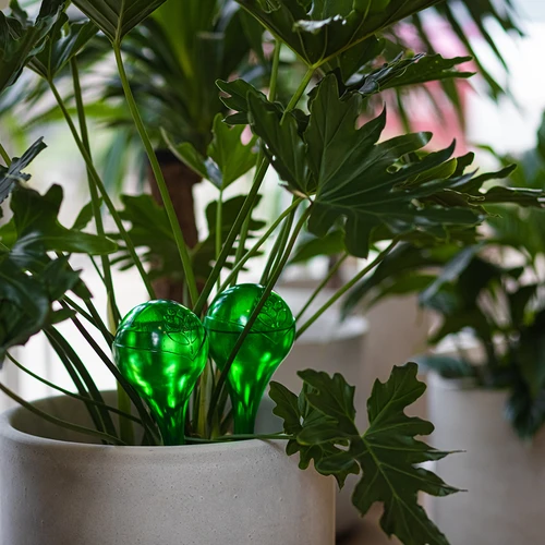 Taimede kastmispallid, rohelised läbipaistvad, 400 ml, 2 tk. - 13