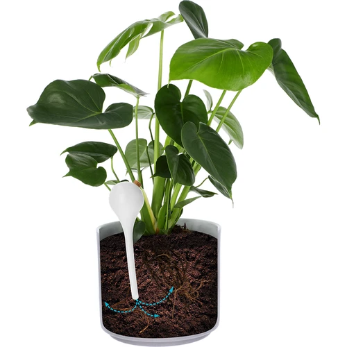 Taimede kastmispallid, valged poolläbipaistvad korgiga, 400 ml, 4 tk. - 6