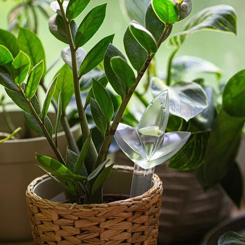 Taimede kastmisseade – läbipaistev leht, 120 ml - 7