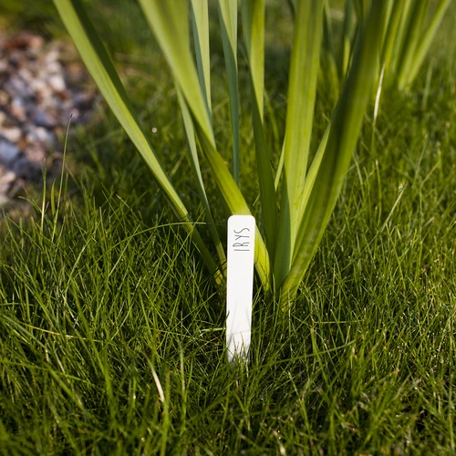 Taimede märgistamise sildid + pliiats, mix 10+20 tk. - 7