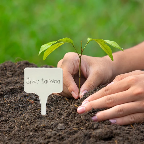 Taimede märgistamise sildid + pliiats, mix 10+20 tk. - 10