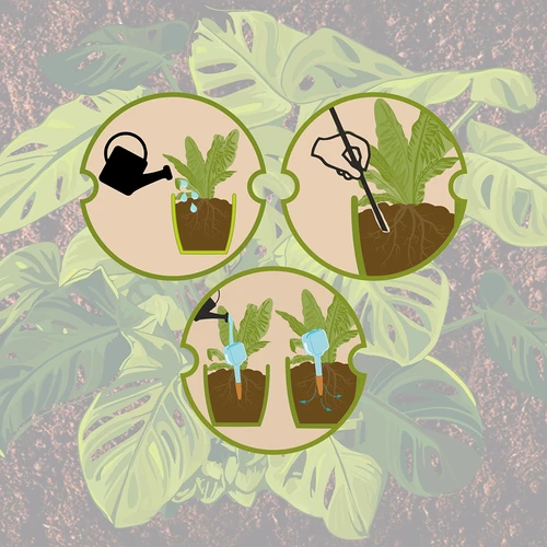 Taimede niisutaja – must tahvlikujuline silt keraamilise jalakesega, 200 ml - 10