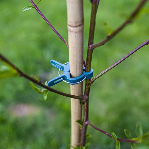 Taimeklambrid 20 tk (8 suurt/12 väikest) - 8