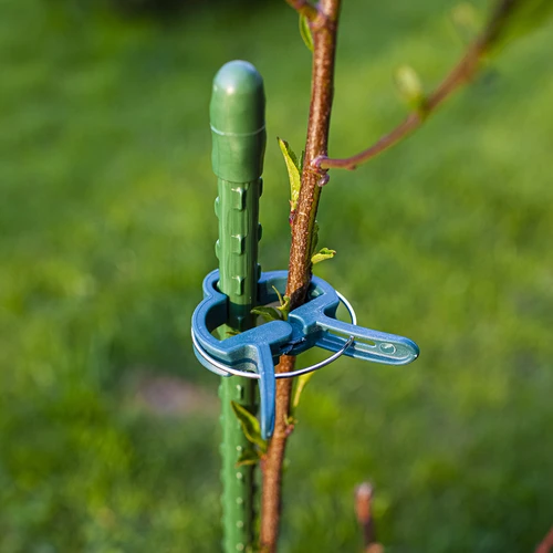 Taimeklambrid 20 tk (8 suurt/12 väikest) - 9