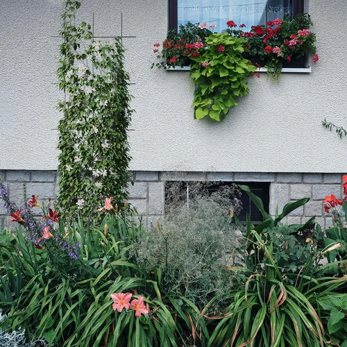 Taimetugi - aiavõre 150 x 45 cm - 4