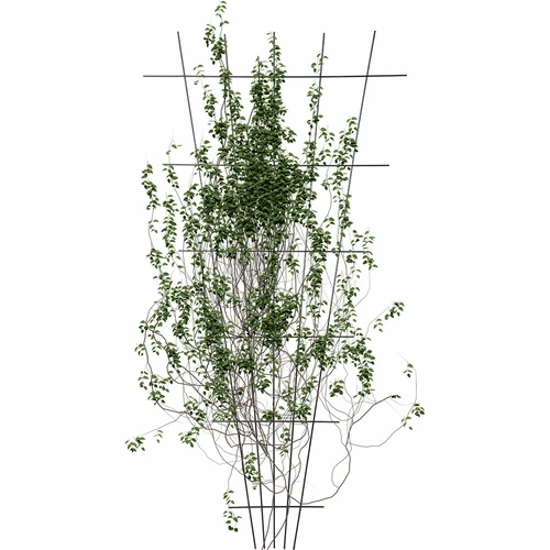 Taimetugi - võre (150 cm x 75 cm) 2 tk - 3