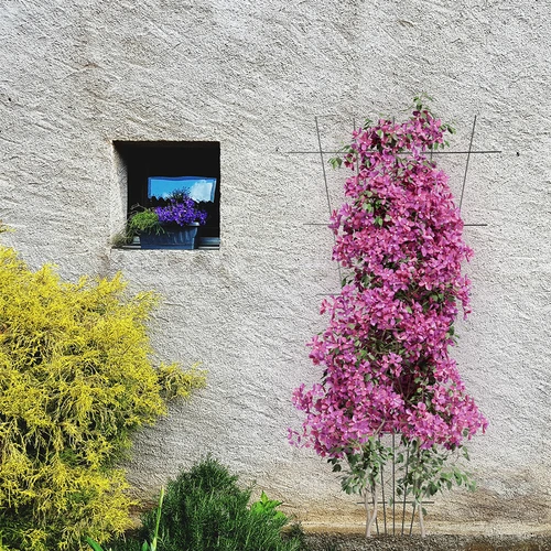 Taimetugi - võre (150 cm x 75 cm) 2 tk - 4