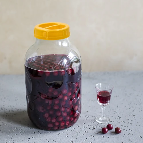 TO 5 L purk ja fi 100 plastist käepidemega keeratav kaas - 5