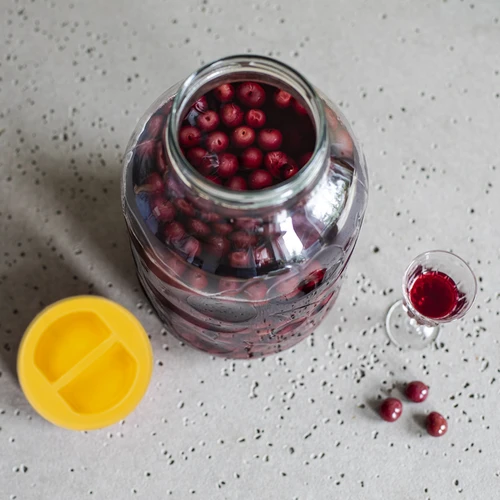 TO 5 L purk ja fi 100 plastist käepidemega keeratav kaas - 6