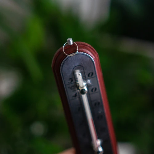 Toatermomeeter hõbedase skaalaga (-10°C kuni +50°C) 16 cm assortii - 5