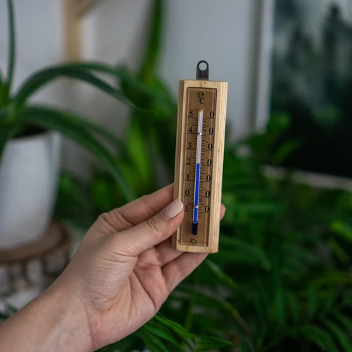 Toatermomeeter kuldse skaalaga (-10°C kuni +50°C) 12 cm - 5