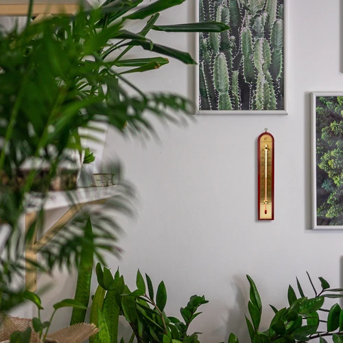 Toatermomeeter kuldse skaalaga (-10 °C kuni +60 °C) 28 cm, assortii - 8
