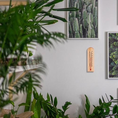 Toatermomeeter mustriga (-20°C kuni +50°C) 15 cm - 6