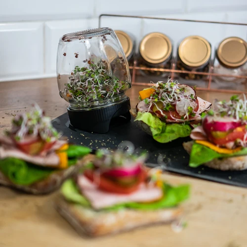 Twist-off idandamispurk + 5 pakki seemneid - 11