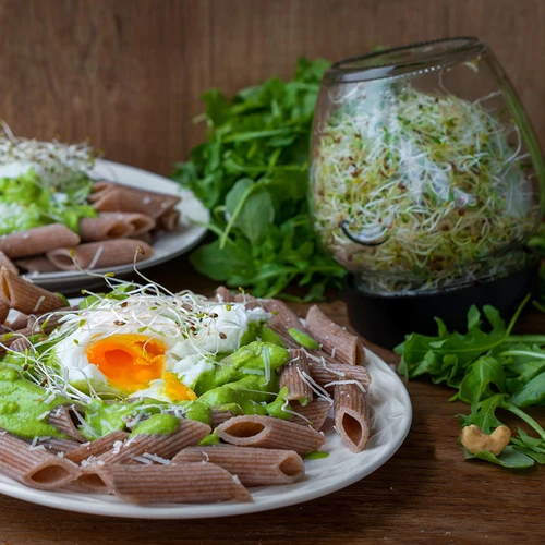 Twist-off idandamispurk + 5 pakki seemneid - 15