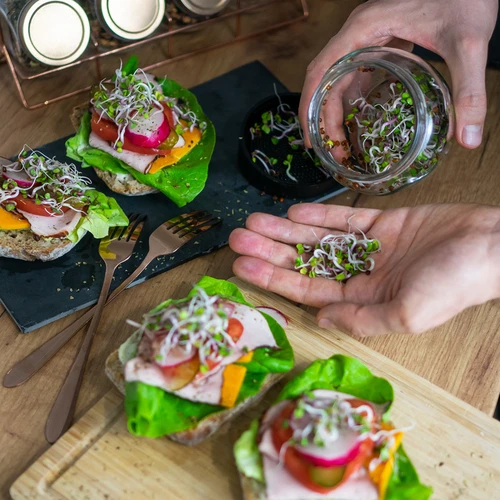 Twist-off idandamispurk koos rediseseemnetega - 12