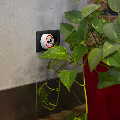 Ultraheliline sipelgapeletaja - koduseks kasutamiseks - 8