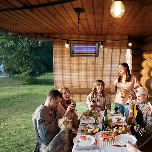 UVA putukahävituslamp 20 W, must - 9