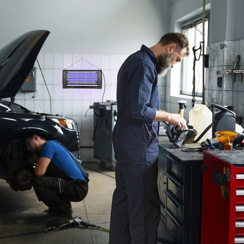 UVA putukahävituslamp 20 W, must - 11