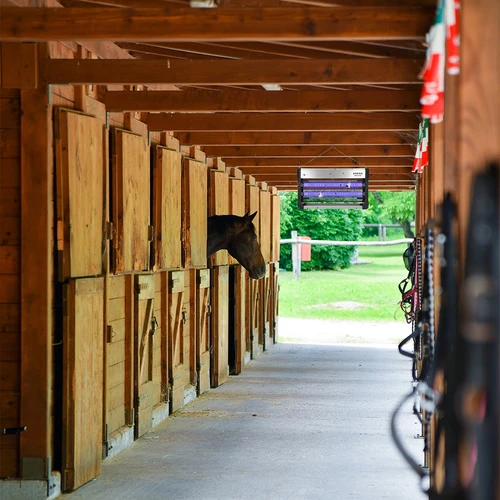 UVA-putukalamp 40 W, hõbedane - 11