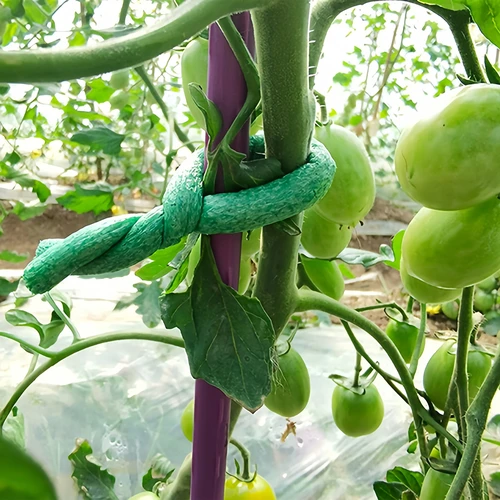 Vahtkummiga kaetud aiatraat, roheline, 10 m, Ø 10 mm - 4