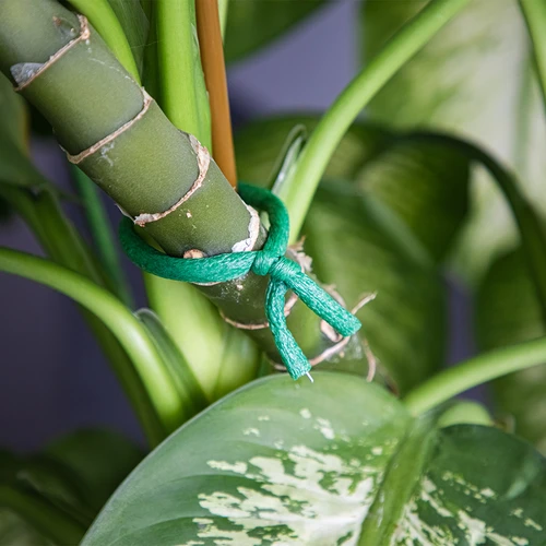 Vahtkummiga kaetud aiatraat, roheline, 10 m, Ø 10 mm - 5