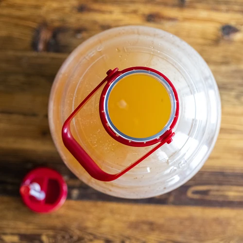 Veiniballoon kerge, purunemiskindel, käepidemega, 25 L - 15