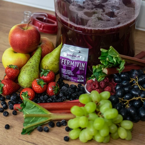 Veinipärm Fermivin 7013, 7 g - 4