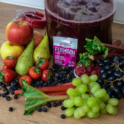 Veinipärm Fermivin LS2, 7 g - 4
