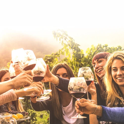 Veinivalmistuskomplekt 15 L klaasballooniga - 15