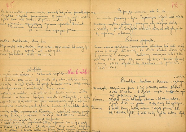 2. osa: Hapendatud paprika tammelehtedega