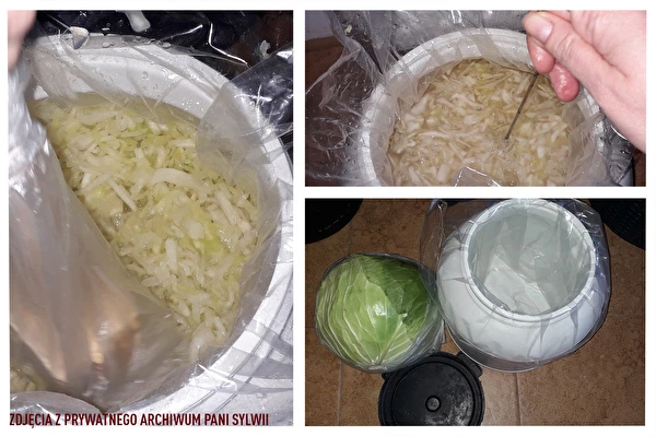 Hapukapsas proua Sylwia retsepti järgi