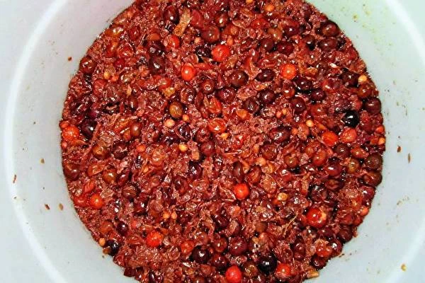 Kodune hapukirsi- ja tikrivein