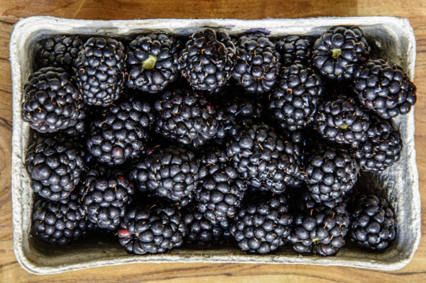 Kodune poolmagus põldmurakavein