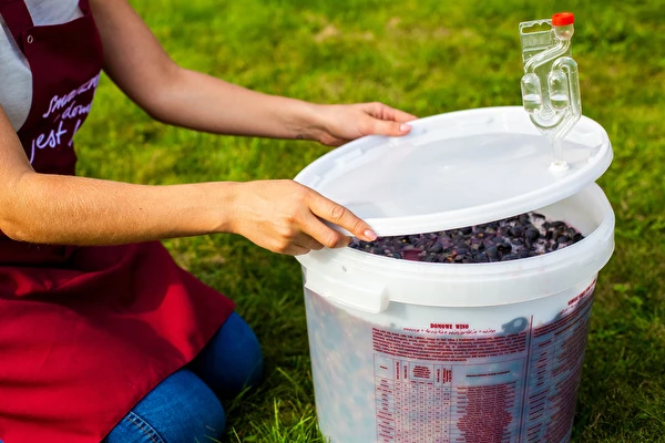 Kuidas teha veini samm-sammult?