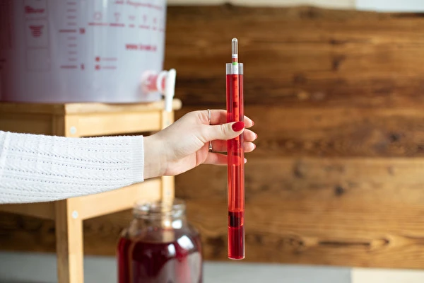 Kuidas teha veini samm-sammult?