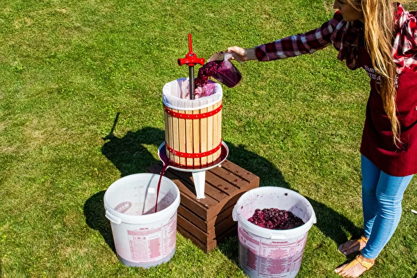 Kuidas teha veini samm-sammult?