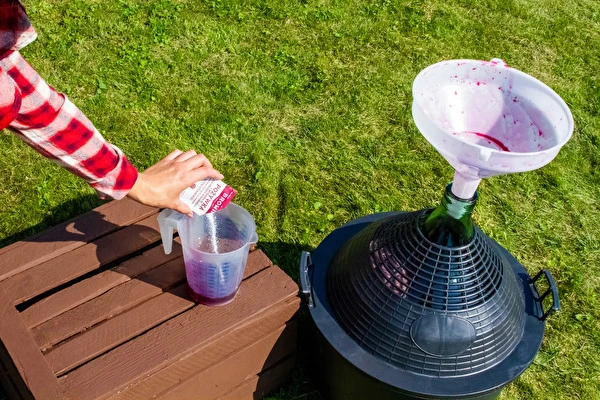 Kuidas teha veini samm-sammult?