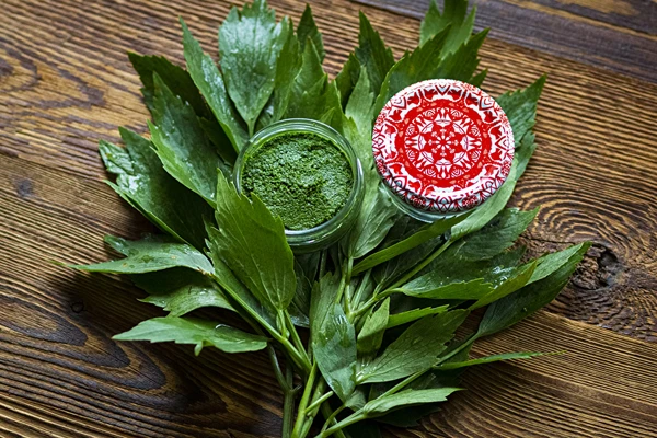 Leeskputkepasta — kodune MAGGI maitseaine