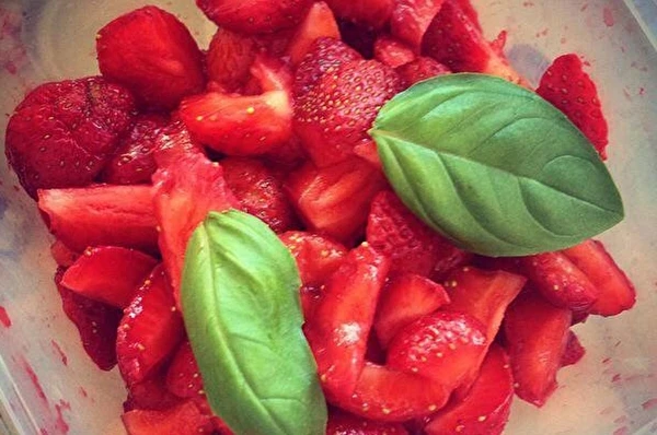 Maasikamoos basiilikuga