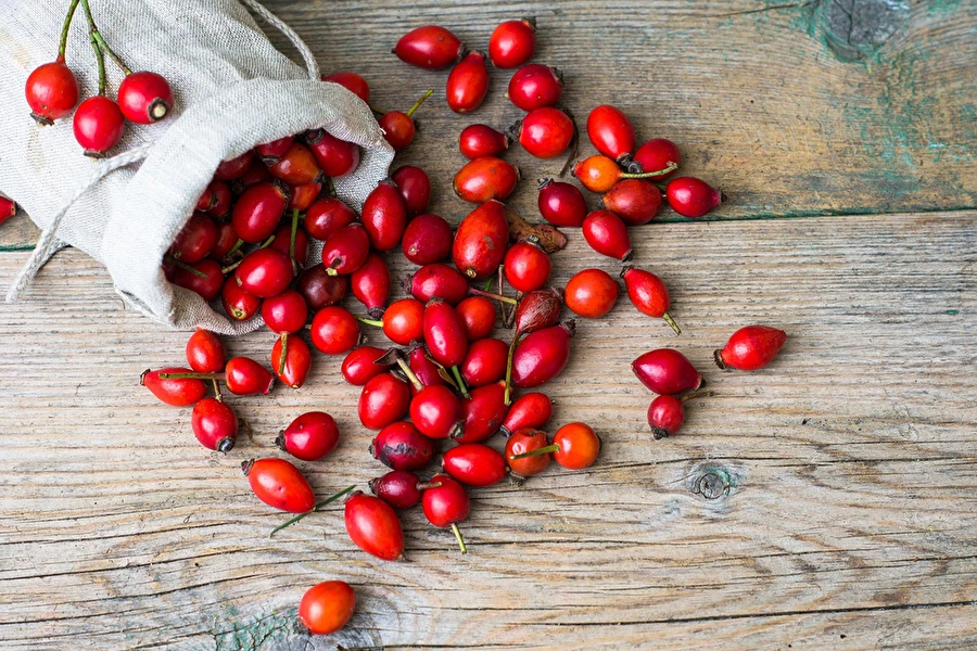 Browin Przepiśnik - Kibuvitsamarjavein meega