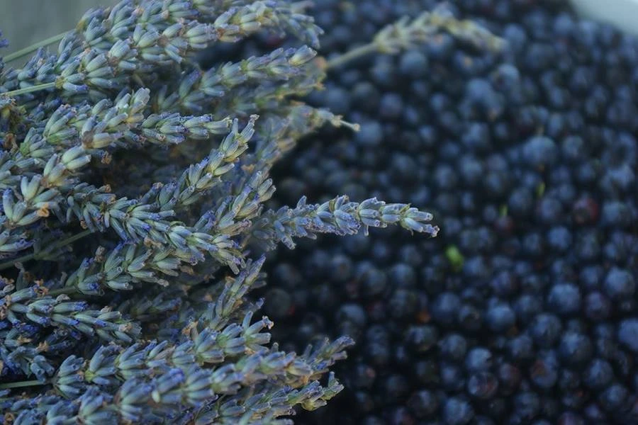 Browin Przepiśnik - Kodune lavendli-mustikavein