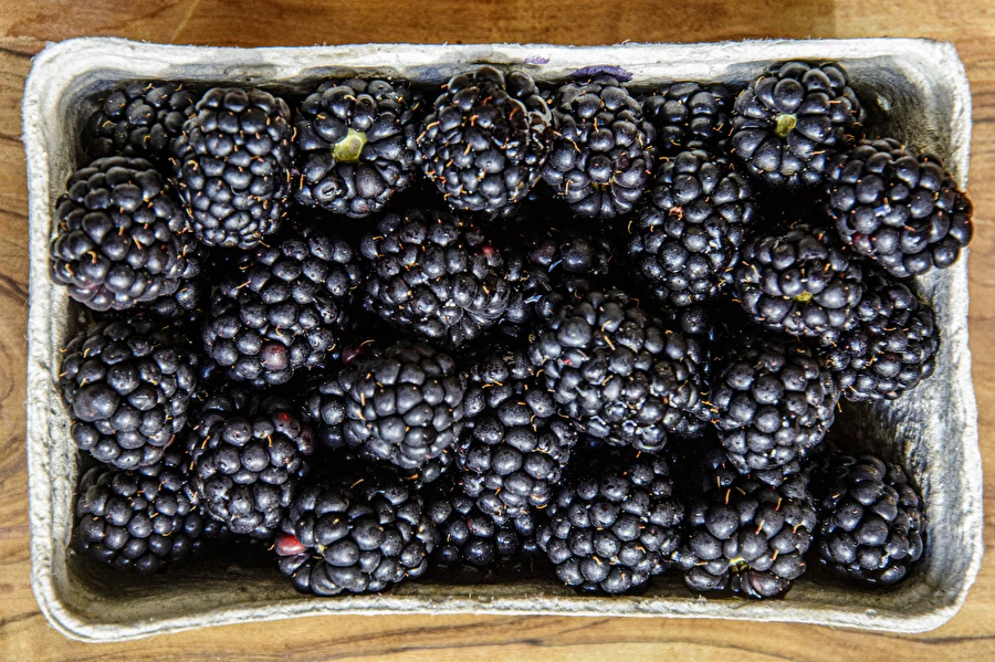 Browin Przepiśnik - Kodune poolmagus põldmurakavein