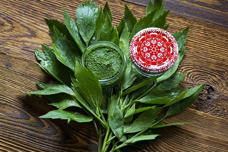 Leeskputkepasta — kodune MAGGI maitseaine