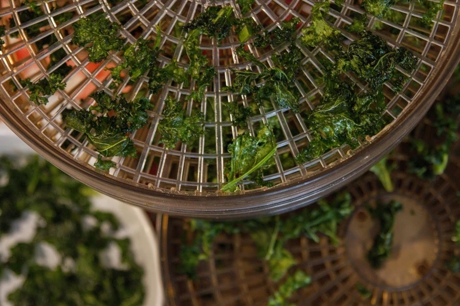 Browin Przepiśnik - Lehtkapsakrõpsud