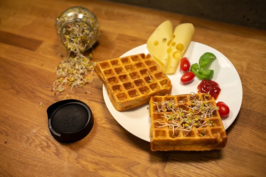 Browin Przepiśnik - Soolased vahvlid