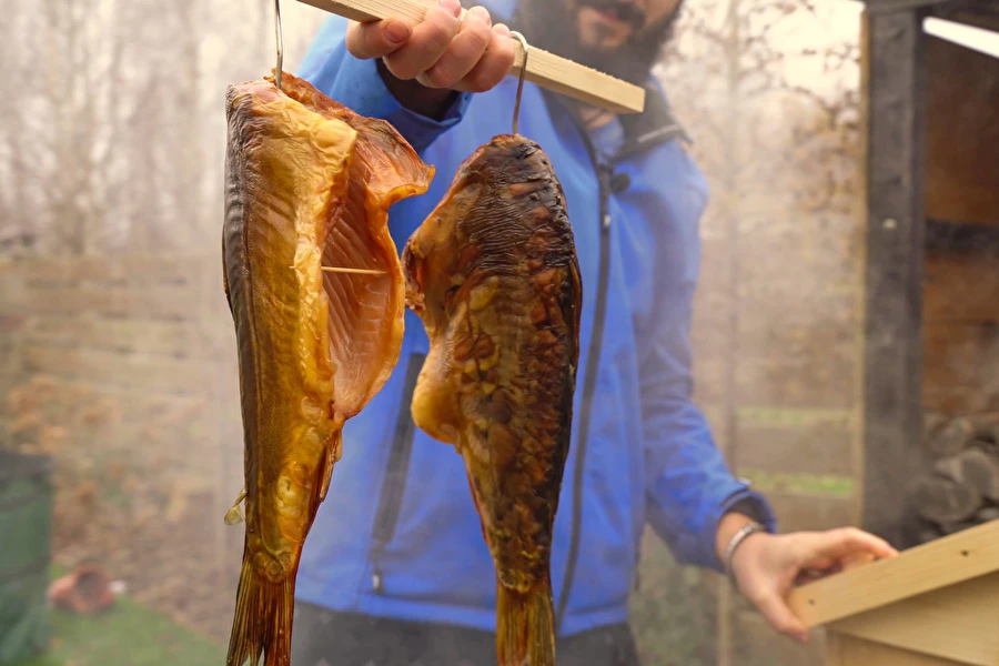 Suitsutatud karpkala